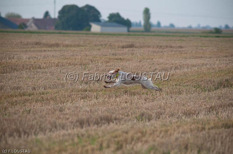 20110821-FLS_6316.jpg