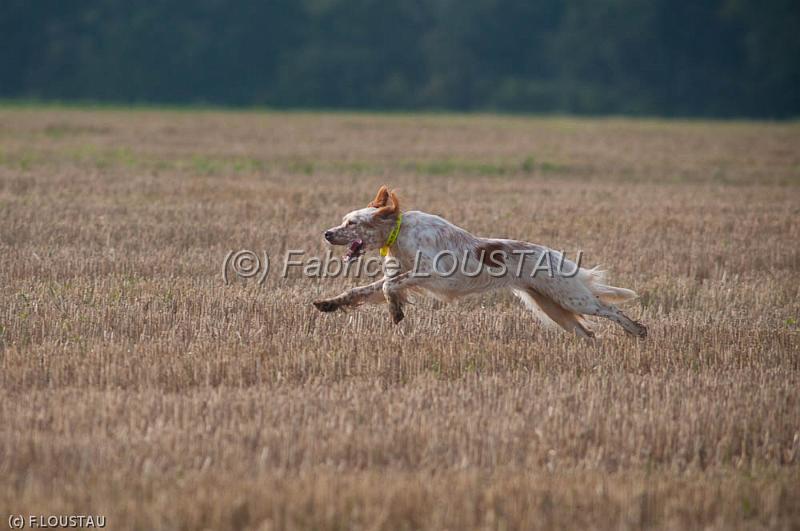 20110821-FLS_6339.jpg