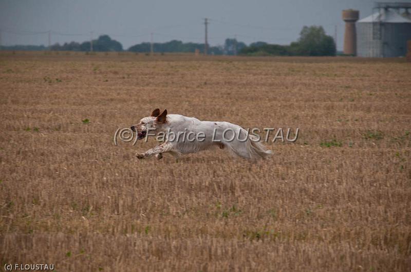 20110821-FLS_6383.jpg