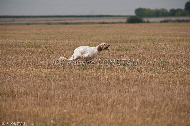 20110821-FLS_6518.jpg
