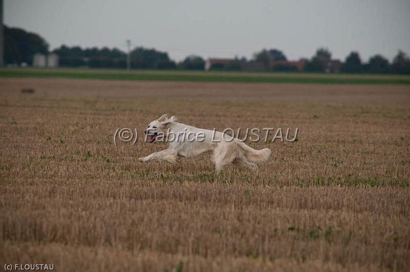 20110821-FLS_6556.jpg