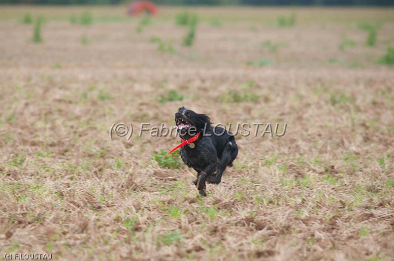 20110828-FLS_6740.jpg