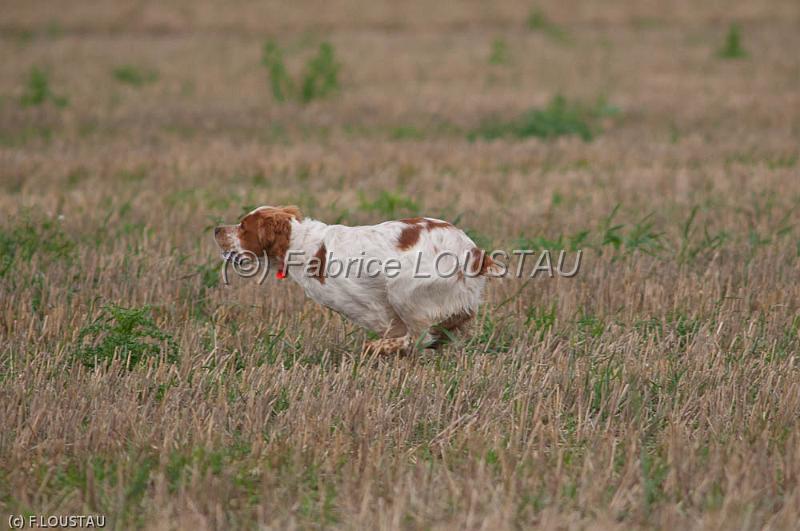 20110828-FLS_6834.jpg