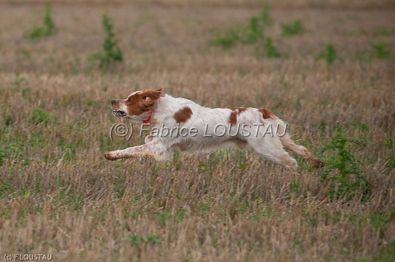 20110828-FLS_6839.jpg