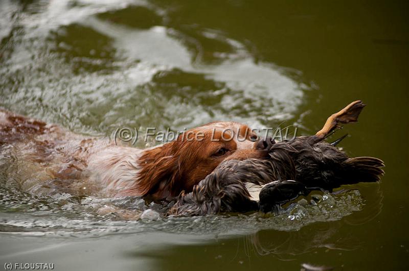 20110828-FLS_7094.jpg