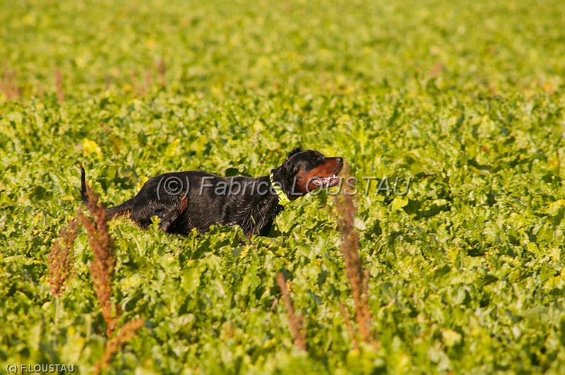 20111007-FLS_7555.jpg - Daika de la Vallée de Epinettes