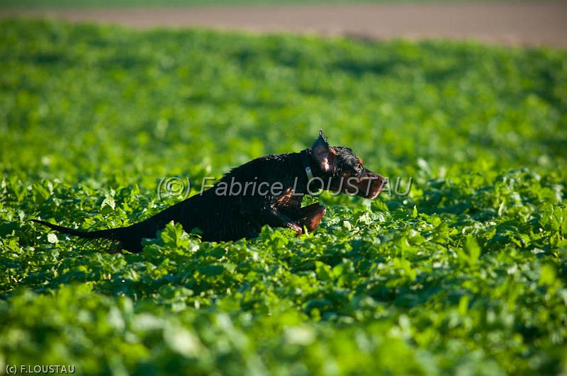 20111015-FLS_8221.jpg - Eolia/Eclair