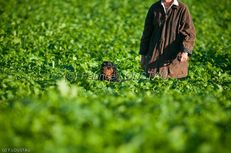 20111015-FLS_8253.jpg - Eolia/Eclair