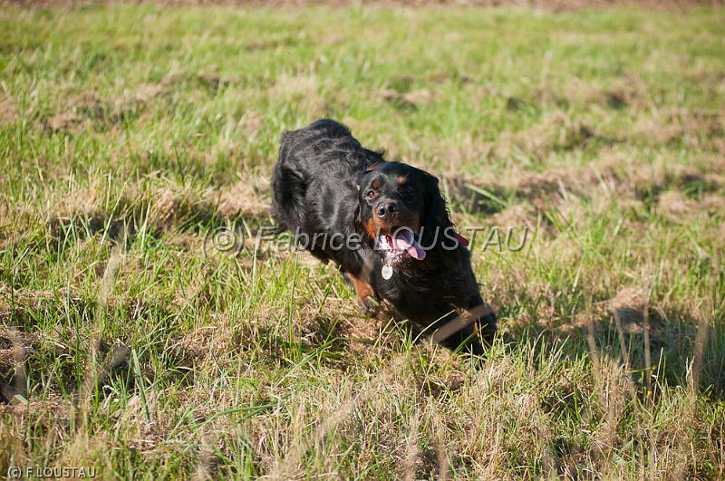20111015-FLS_8318.jpg - Echo