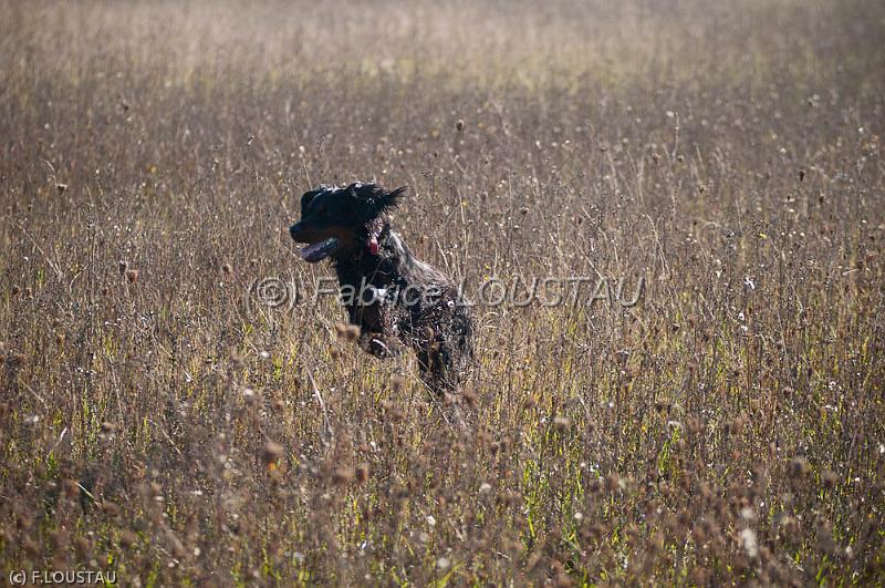 20111015-FLS_8328.jpg - Echo