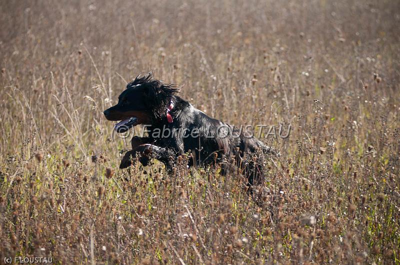 20111015-FLS_8333.jpg - Echo