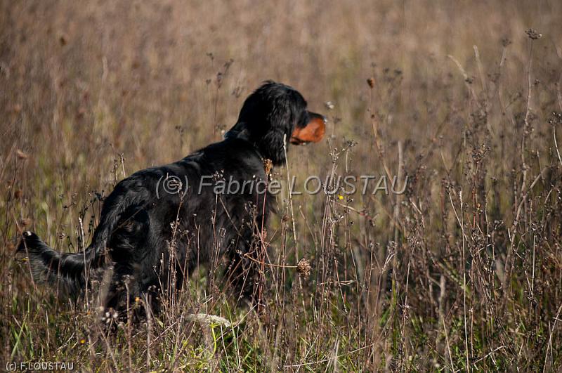 20111015-FLS_8364.jpg - Gussy