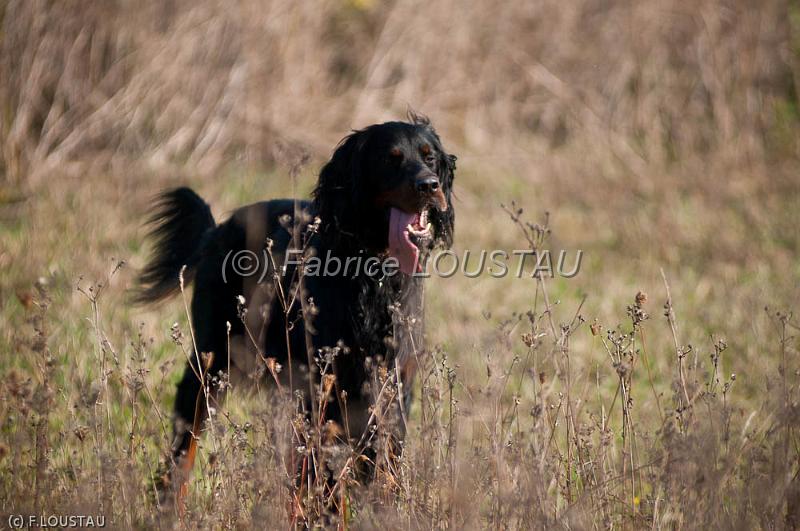 20111015-FLS_8449.jpg - Emir