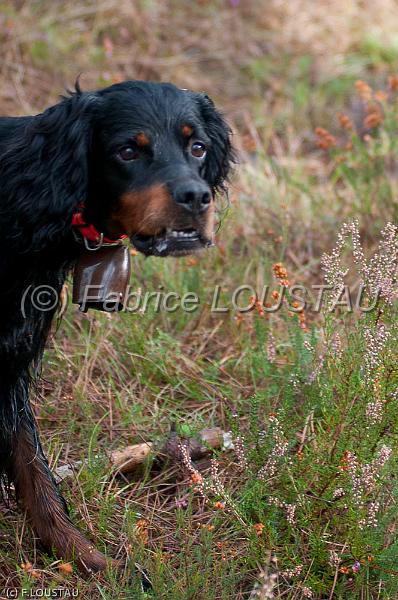 20111025-FLS_8935.jpg