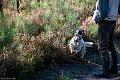 20111026-FLS_9445