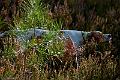 20111026-FLS_9618