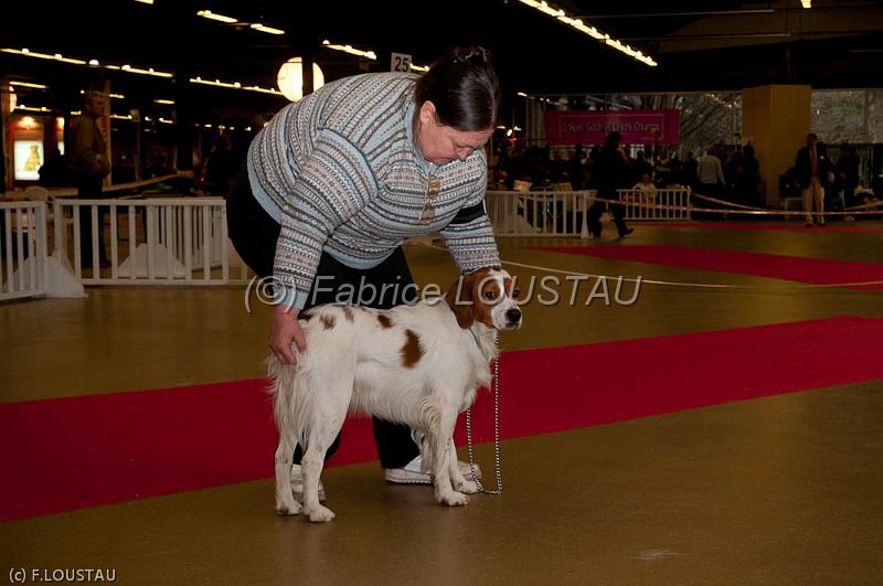 20120107-FLS_1761.jpg