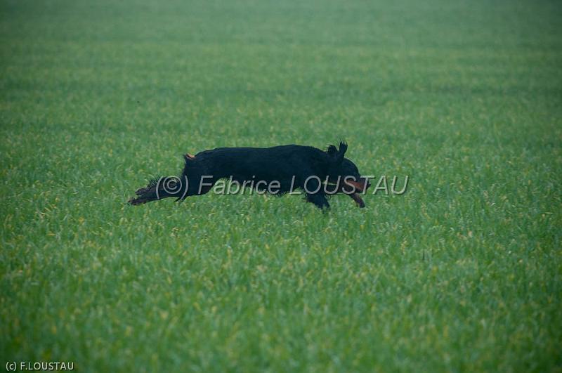 20120317-FLS_3021.jpg