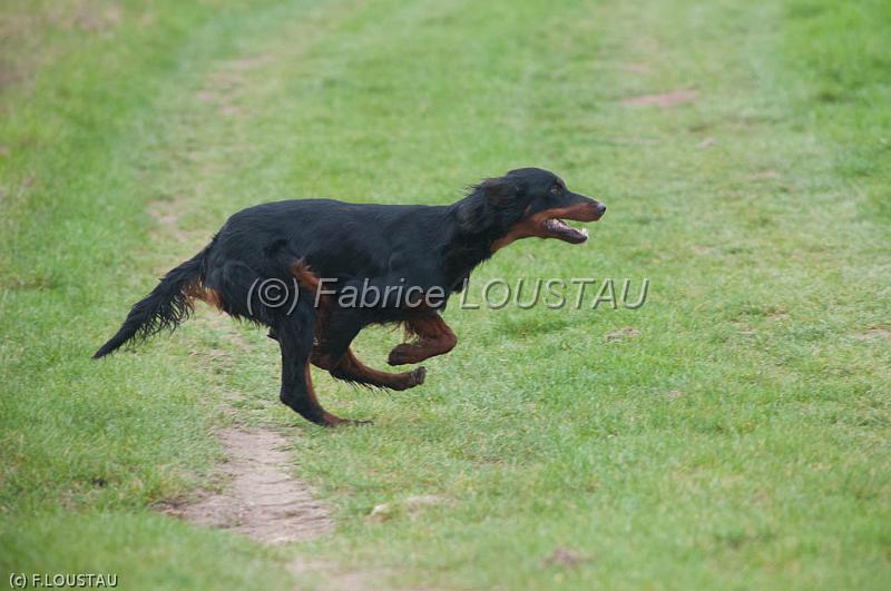 20120318-FLS_3081.jpg