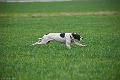 20120318-FLS_3047