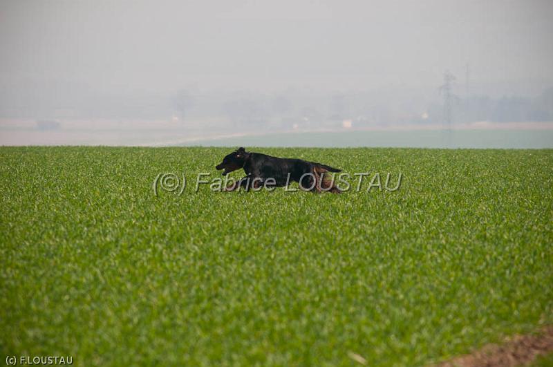 20120323-FLS_3222.jpg