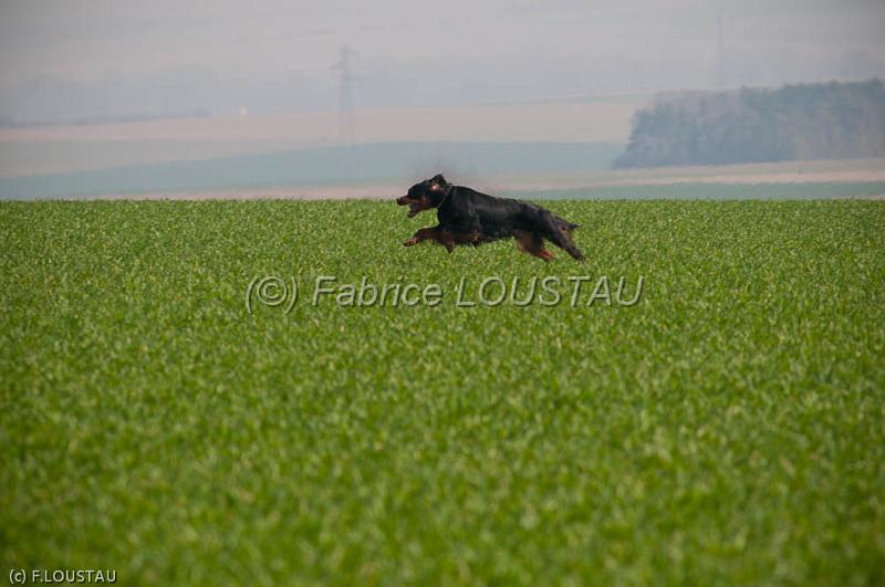 20120323-FLS_3230.jpg