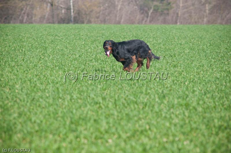 20120323-FLS_3254.jpg
