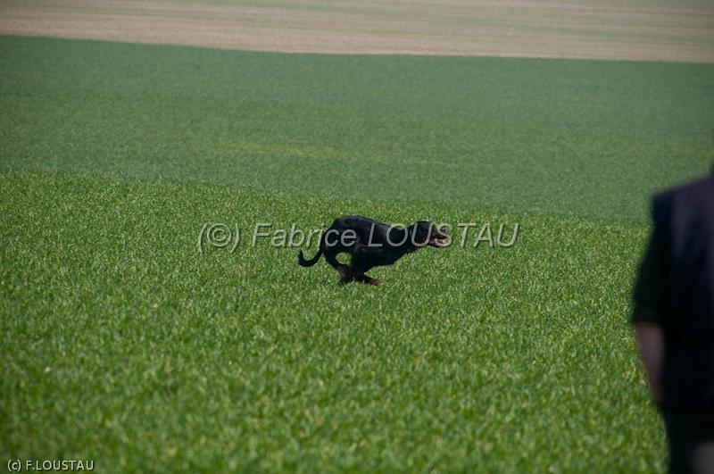 20120323-FLS_3264.jpg