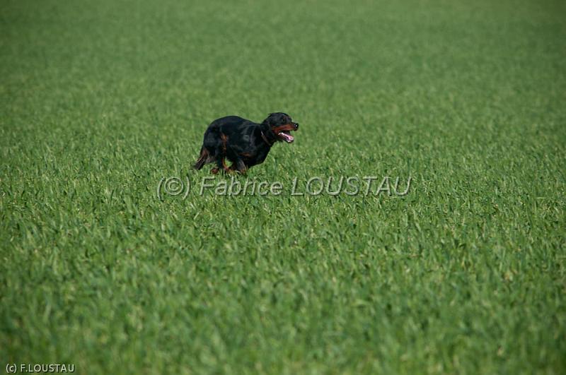 20120323-FLS_3277.jpg