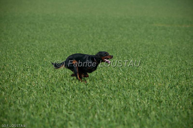 20120323-FLS_3284.jpg