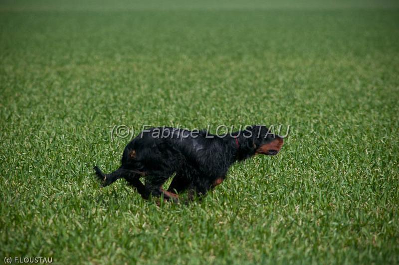 20120323-FLS_3296.jpg