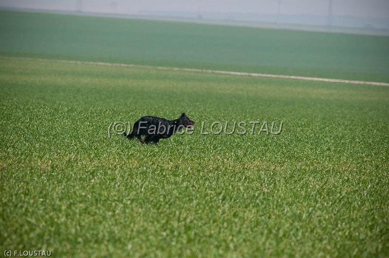 20120323-FLS_3306.jpg