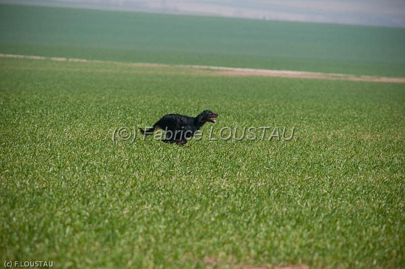 20120323-FLS_3311.jpg