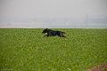 20120323-FLS_3222