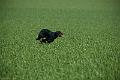 20120323-FLS_3279