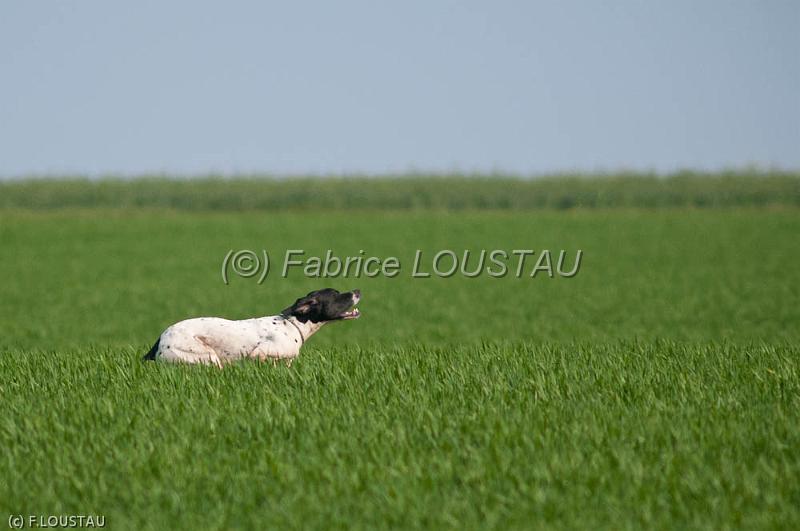20120330-FLS_3453.jpg - D'JORI DE LANDA GORI