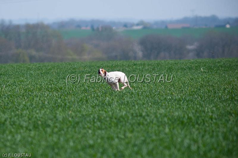 20120330-FLS_3473.jpg - EGUN  DE LANDA GORI