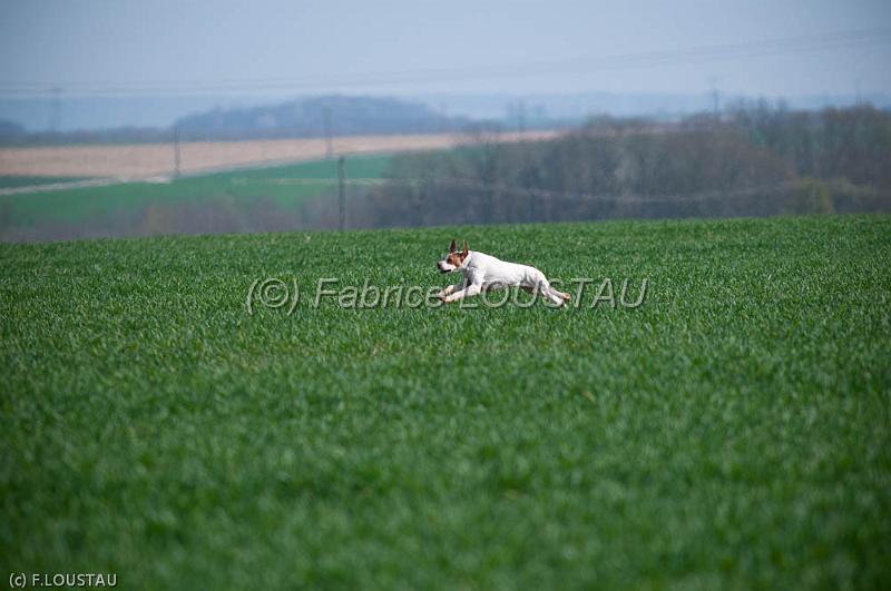 20120330-FLS_3476.jpg - EGUN  DE LANDA GORI