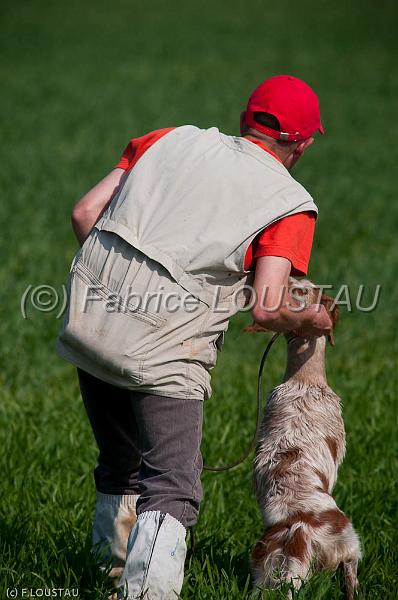 20120330-FLS_3544.jpg - CAYENNEDE LA PASSEE DEL'EPERON