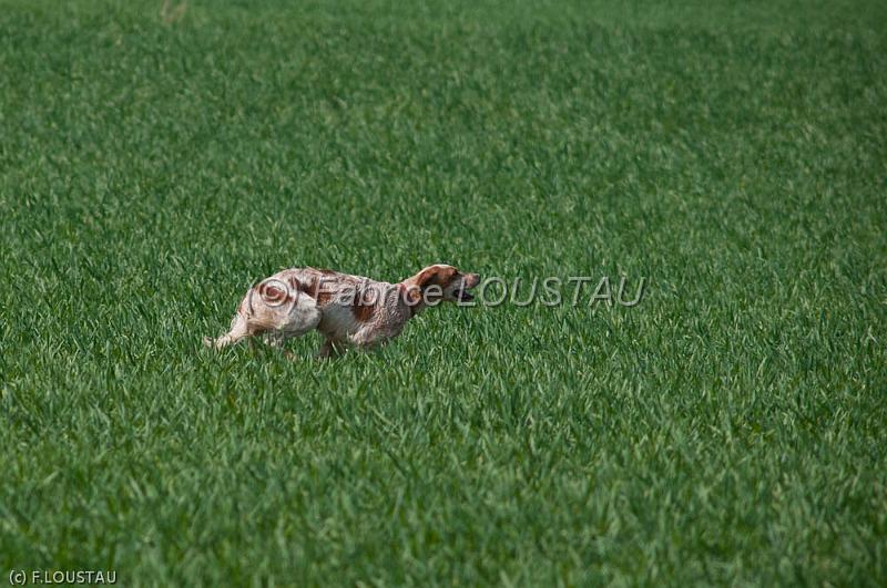 20120330-FLS_3563.jpg - CAYENNE DE LA PASSEE DE L'EPERON