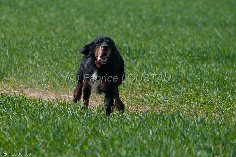 20120330-FLS_3606.jpg - CALUNE