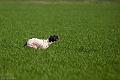 20120330-FLS_3457