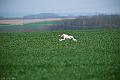 20120330-FLS_3476