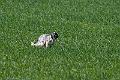 20120330-FLS_3551