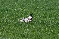20120330-FLS_3552