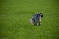 20120401-FLS_3651