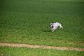 20120401-FLS_3777