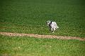 20120401-FLS_3785