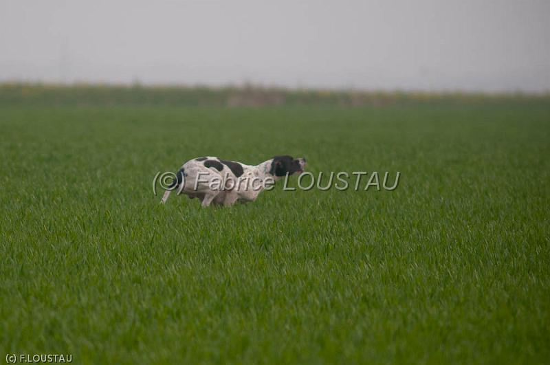 20120405-FLS_3918.jpg - Enzo de Pourqueron