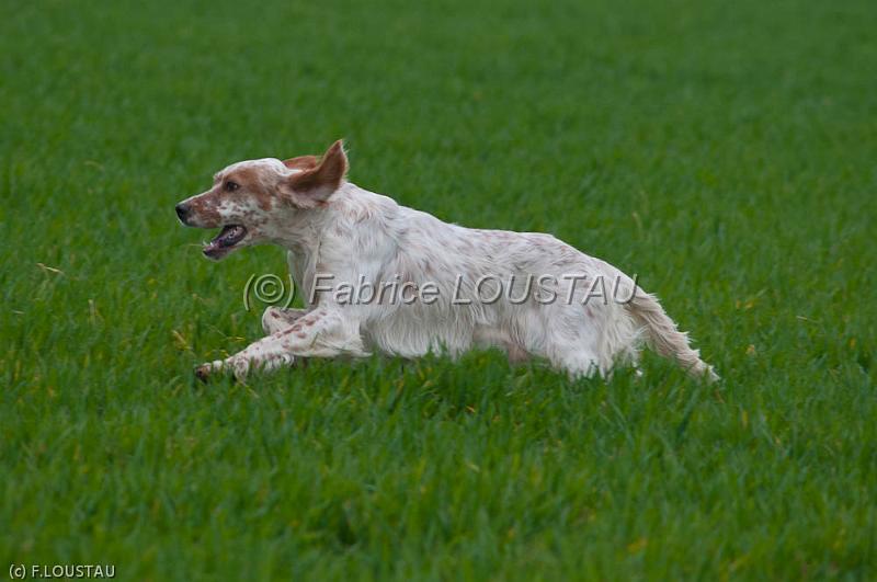 20120405-FLS_4105.jpg - Farouk du clos de la Baudeliere